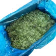 Oregano frisk, 1 kg