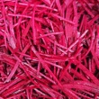 Rødbeder Julienne 2mm 5 kg