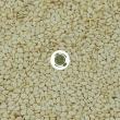 ØKO Sesamfrø hvide  u/hinde( hvide), 1 kg