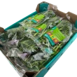 Broccolini BIMI, 12*200 g