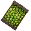 Tomater Tiger Grøn, 3kg