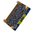 Blåbær, 1 kg