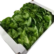Mini salat hjertesalat, 30 stk. ca. 3 kg