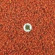 Annatto frø, 500 g