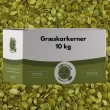 Græskarkerner, 10 kg Chef Choice
