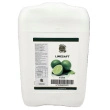 Limesaft 100%, 10 L Chef Choice
