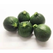 Squah/courgetter Runde, 4kg ca. 16stk