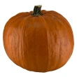 Halloween græskar,  ca 3 til 7kg