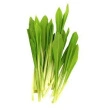 Ramsløg friland, 1 kg