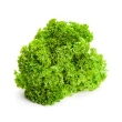 Salat lollo bionda, ca. 3kg 10stk