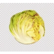 Salat  Radicchio Castelfranco Kasse
