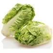 Mini salat hjertesalat, 10*2 stk.