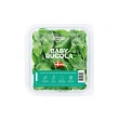 Rucola Baby, 500gr Nordic harvest