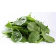 Mini salat  Spinatblade 2*500gr DK i ks