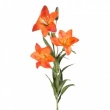 Liljer Orange lange i stk. 10stk