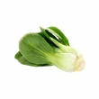 ØKO Pak Choy, 12 x2 stk.