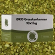 ØKO Græskarkerner, 1 kg Chef Choice