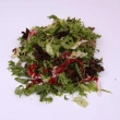 Cafe Maison Salat(Rossa20%/Frisee70%/Radicchio10%) 4 kg