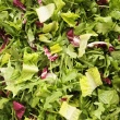 Street salat(Romaine45%/Radicchio10%/Rucola45%) kg