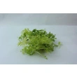 Frisesalat  Fransk  skyllet 1 kg kg